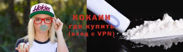 дурь Гусиноозёрск