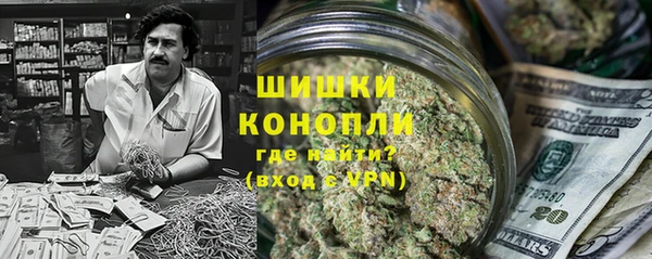 спайс Гусев