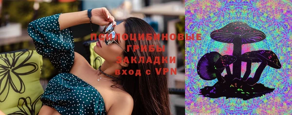 спайс Гусев