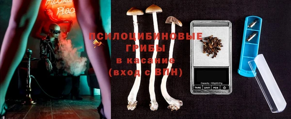 дурь Гусиноозёрск