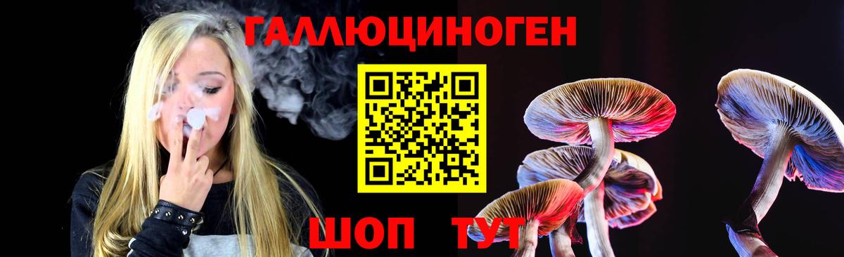 Псилоцибиновые грибы Psilocybe Наро-Фоминск